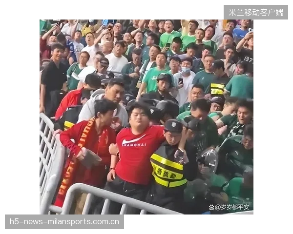 球迷暴走：现场冲突导致比赛短暂停赛